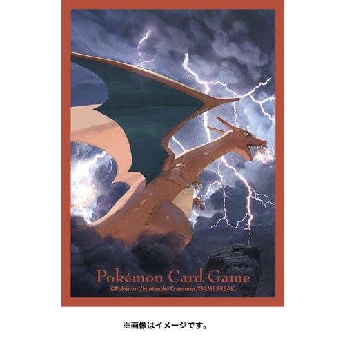 Different Colors popular of Charizard Collection File & Sleeves Pokemon Center Japan