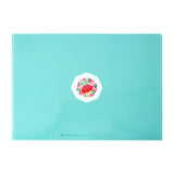 A4 Clear File POKÉMON NYORO NYORO FRIENDS - Authentic Japanese Pokémon Center File Folder 