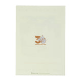 A4 Clear File Pokémon Timeless Adventure Hoenn - Authentic Japanese Pokémon Center File Folder 