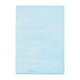 A4 Clear File (Set of 2) - Maigo No Quaxly - Authentic Japanese Pokémon Center Office Accessory (plastic) 