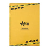 A4 Clear File (Set of 2) - POKÉMON TRAINERS -STARDUST★BESTIES- - Authentic Japanese Pokémon Center Office Accessory (plastic) 