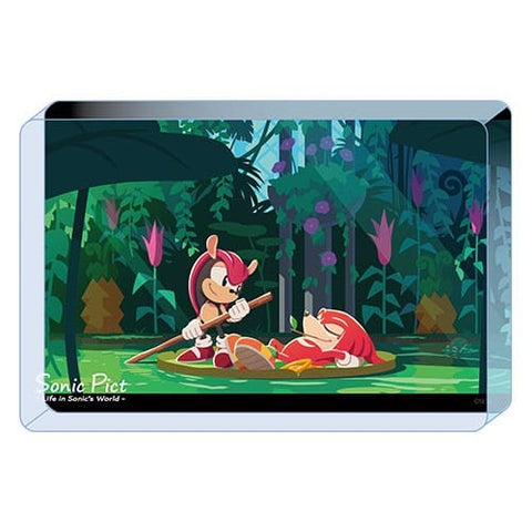 Acrylic Block SONIC PICT 2023/05 - Sonic the Hedgehog - Authentic Japanese SEGA Acrylic Stand 