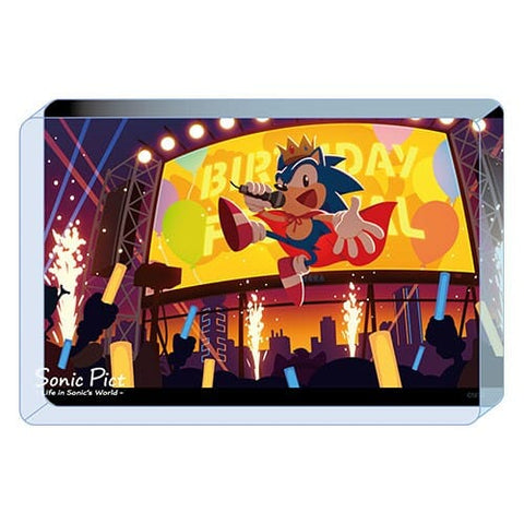 Acrylic Block SONIC PICT 2023/06 - Sonic the Hedgehog - Authentic Japanese SEGA Acrylic Stand 