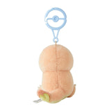 Charmander With Charizard Lovey Mascot Pair Plush Little Daydream - Authentic Japanese Pokémon Center Mascot Plush Keychain 