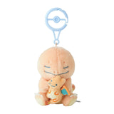 Charmander With Charizard Lovey Mascot Pair Plush Little Daydream - Authentic Japanese Pokémon Center Mascot Plush Keychain 
