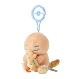 Charmander With Charizard Lovey Mascot Pair Plush Little Daydream - Authentic Japanese Pokémon Center Mascot Plush Keychain 
