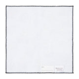 Dragonite, Tyranitar, Garchomp, Salamence Hand Towel - Authentic Japanese Pokémon Center Towel (cotton) 