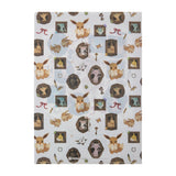 Eevee A4 Clear File Folder Eevee Collection - Authentic Japanese Pokémon Center File Folder 