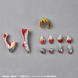 Female Titan Revoltech Amazing Yamaguchi Figure - Attack on Titan - Authentic Japanese KAIYODO Figure 