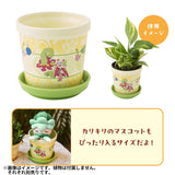 Flower Pot Midarezaki - Authentic Japanese Pokémon Center Bowl (ceramic) 