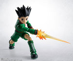 Gon S.H.Figuarts Figure - Hunter x Hunter - Authentic Japanese Bandai Namco Figure 