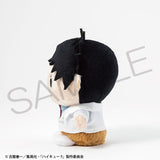 Hajime Iwaizumi Payapayakko Plush - Haikyu!! - Authentic Japanese KADOKAWA Plush 
