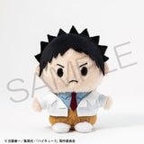 Hajime Iwaizumi Payapayakko Plush - Haikyu!! - Authentic Japanese KADOKAWA Plush 