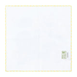 Hand Towel Wild Zone "An Elegant Day in Lumiose" - Authentic Japanese Pokémon Center Merch 