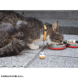 MEGA CAT PROJECT Figure Meowruto! Sasuke-Kun Kocchi ni Irasshai Hen - Naruto (8Pcs/BOX) - Authentic Japanese MegaHouse Figure 