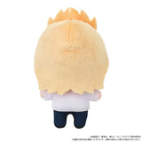 Mirio Togata Nui Pal Mascot Plush - My Hero Academia - Authentic Japanese movic Mascot Plush Keychain 