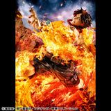 Portgas D. Ace Figure Portrait.Of.Pirates “NEO-MAXIMUM” 15th LIMITED Ver. - ONE PIECE (Super Limited Reprint Edition) - Authentic Japanese MegaHouse Figure 