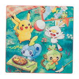 Rolled Cookies Pokémon Timeless Adventure Galar - Authentic Japanese Pokémon Center Tumbler (steel) 