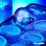 Silicon Tray - Metroid - Authentic Japanese Nintendo Small plastic toy 