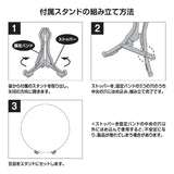 Small Plate Collection POKÉMON NYORO NYORO FRIENDS (6Pcs/BOX) - Authentic Japanese Pokémon Center Bowl (ceramic) 