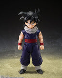 Son Gohan S.H.Figuarts Figure <Z-FIGHTERS> (Limited Edition Group Base Ver A) - Dragon Ball Z - Authentic Japanese Bandai Namco Figure 