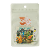 Sticker Set Pokémon Timeless Adventure Hoenn - Authentic Japanese Pokémon Center Sticker 