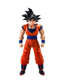 Super Saiyan Vegeta S.H.Figuarts Figure (Kind-hearted Saiyan) - Dragon Ball Z - Authentic Japanese Bandai Namco Figure 