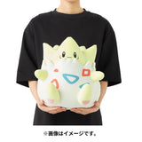 Togepi Mochiricchi Plush - Authentic Japanese Pokémon Center Plush 