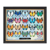 Vivillon Pins Collection Full Set Of 20 - Authentic Japanese Pokémon Center Pin 