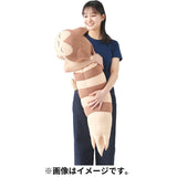 Furret Hugging Cushion - Authentic Japanese Pokémon Center Plush 