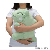 Substitute Fuwafuwa Daki (Fluffy Cuddle) Plush - Authentic Japanese Pokémon Center Plush 